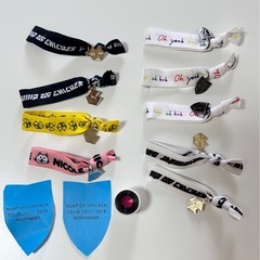BUMP OF CHICKEN PATHFINDER ガチャ ツ...