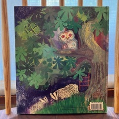 洋書🇬🇧絵本の画像