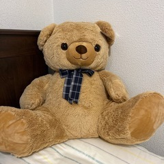 決まりました◯テディベア　ぬいぐるみ