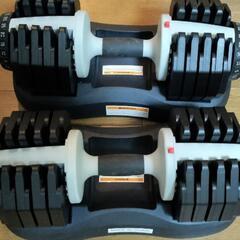 ATIVAFIT ダンベル 可変式 2.5kg～25kg 2個セ...