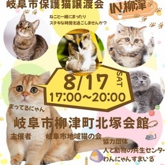 夜の保護猫譲渡会 in柳津