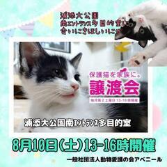 8かつ10日アベニール譲渡会in浦添大公園南ｴﾝﾄﾗﾝｽ多目的室