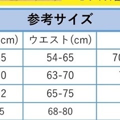 新品未使用　レディースLL水着セット　の画像