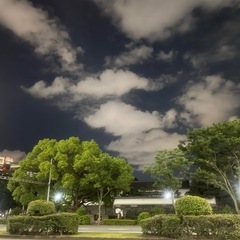 夜景を見ながらお散歩 - スポーツ