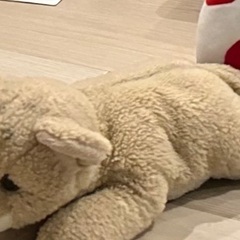 ぬいぐるみを探しています