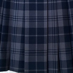 プリーツスカート（チェック）の画像