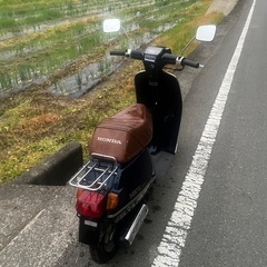 HONDA ボーカル50 レトロの画像