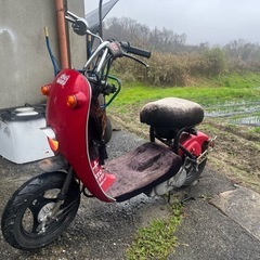 SUZUKI チョイノリ 50の画像