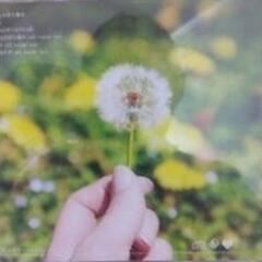 願いごとの持ち腐れ　AKB48の画像