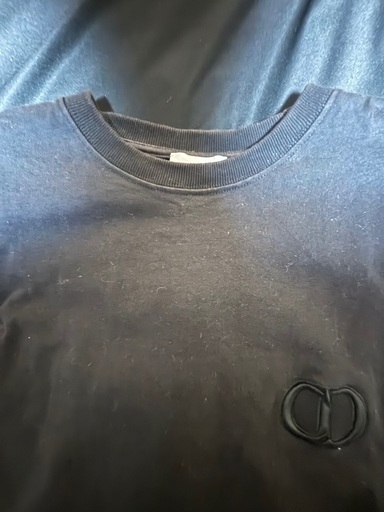 DIOR Tシャツ