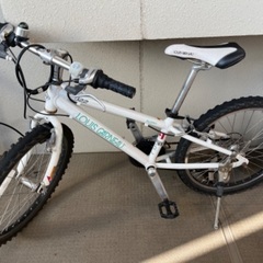 ルイガノ　J22 MTB