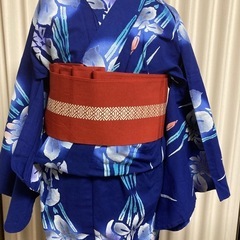 菖蒲柄浴衣 いかがでしょうか？