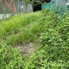 草刈り機で草刈り承ります