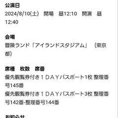 8/10(土)お台場冒険王入場券(ぽかぽかフェスBブロック優先観...