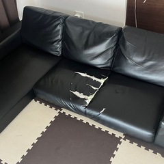 ローソファーの画像