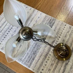 ダイニング照明の画像