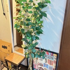 フェイク観葉植物
