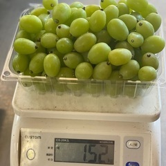 【残り1パック！🍇✨】つぶつぶシャイン1.5kg🍇✨1箱2,800円の画像