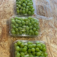 【残り1パック！🍇✨】つぶつぶシャイン1.5kg🍇✨1箱2,800円の画像