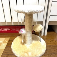 キャットステップ