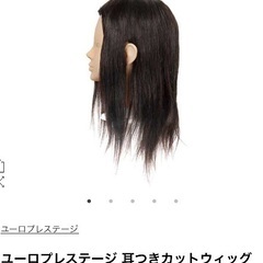 ユーロ　カットwig 1体の画像