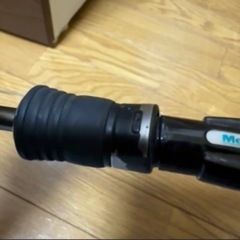 礁楽　メガバス
の画像