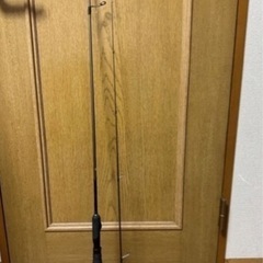 礁楽　メガバス
