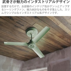 【交渉中】シーリングファン　グリーン　　無料であげます　