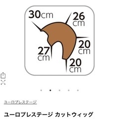 金髪ウィッグ　1体の画像