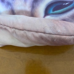 お値下げしました！猫のバックの画像