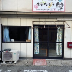 トリマーさん募集中の画像