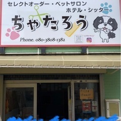 トリマーさん募集中の画像