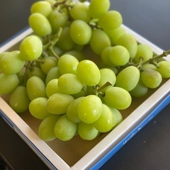 【2kgあります！】🍇✨【お徳用】シャインマスカット🍇1kg1,700円！の画像