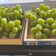 【2kgあります！】🍇✨【お徳用】シャインマスカット🍇1kg1,700円！の画像