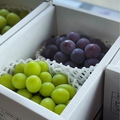 【2kgあります！】🍇✨【お徳用】シャインマスカット🍇1kg1,700円！の画像