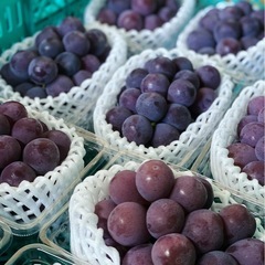 【2kgあります！】🍇✨【お徳用】シャインマスカット🍇1kg1,700円！の画像