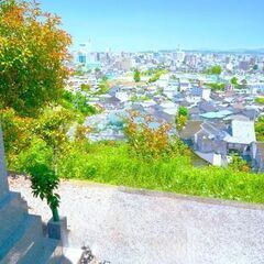 高齢者サービス従事者が丁寧にお墓参りと掃除を致します。