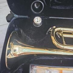 【トランペット】何も使わずにやめました。既に決まっています！！の画像
