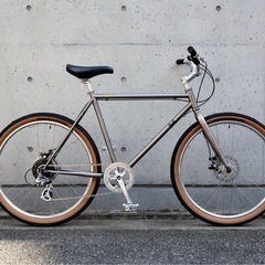 Fuji ALTERR  フジ　アルター　WARM SILVER 48