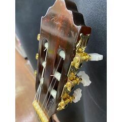 アコースティックギター/クラッシクギター/大和/幸山/　初心者の方の画像