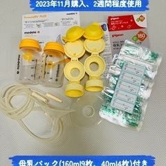 【母乳パック付】メデラ　電動搾乳機　24mm シンフォニー　ダブ...
