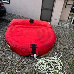 マーベルの画像