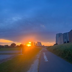 ランニングの友達を探しています