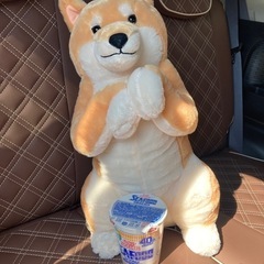 柴犬のぬいぐるみ✨