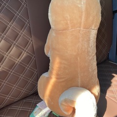 柴犬のぬいぐるみ✨の画像