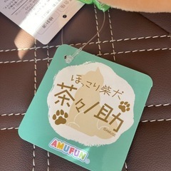 柴犬のぬいぐるみ✨の画像