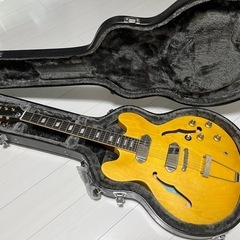 Epiphone E230TD Inspired by John...