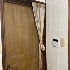 カーテン・スダレの画像