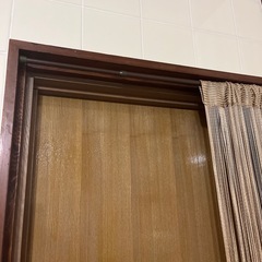 カーテン・スダレの画像