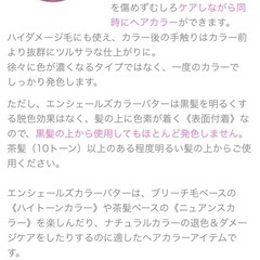 未使用、エンシェールズ、カラーバター、カラートリートメント、マンゴーオレンジの画像